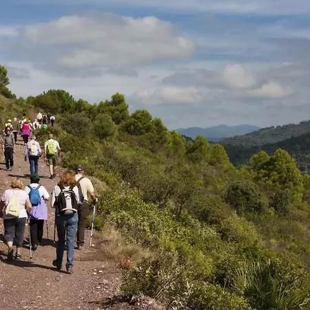 Al-1103 - - Alcazaba Lagoon